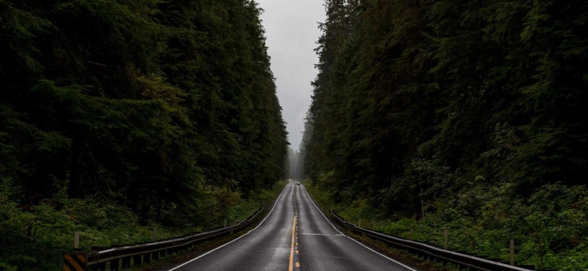 The Road Ahead
